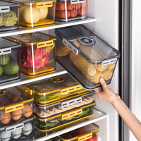 The Kindra Fridge Organizer